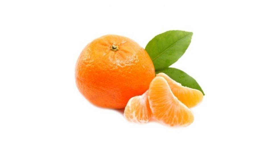 Mandarini Avana Italia