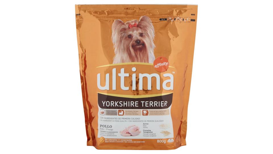 Ultima Dog Yorkshire Terrier Pollo