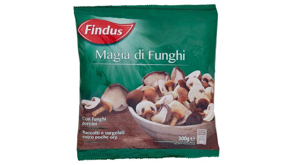 Findus - Magia Di Funghi